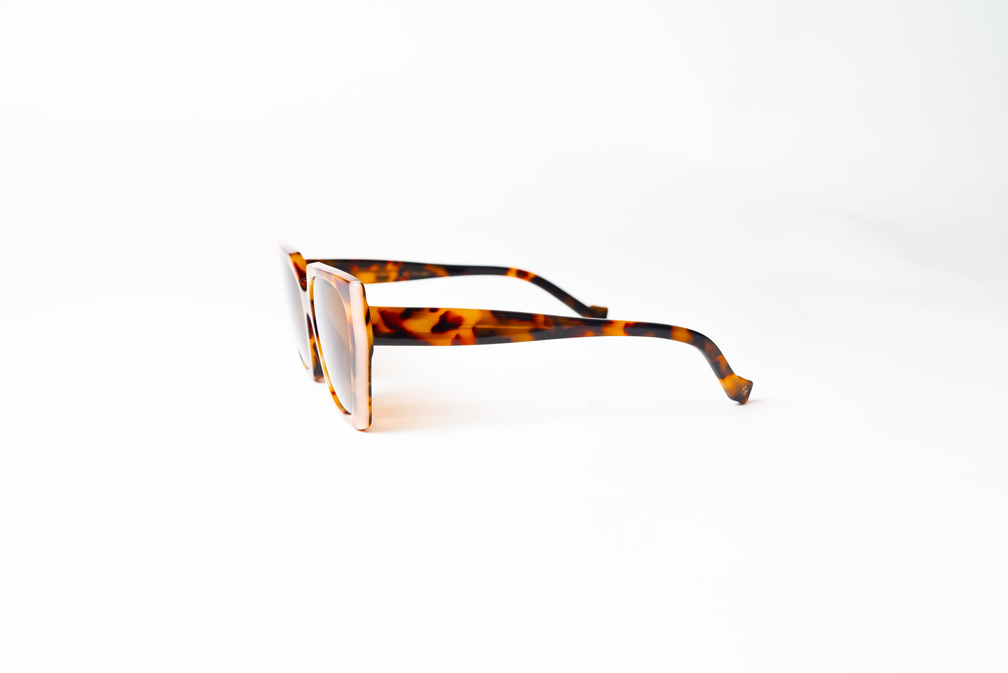 Venice Col-Turtle Brown Polarized