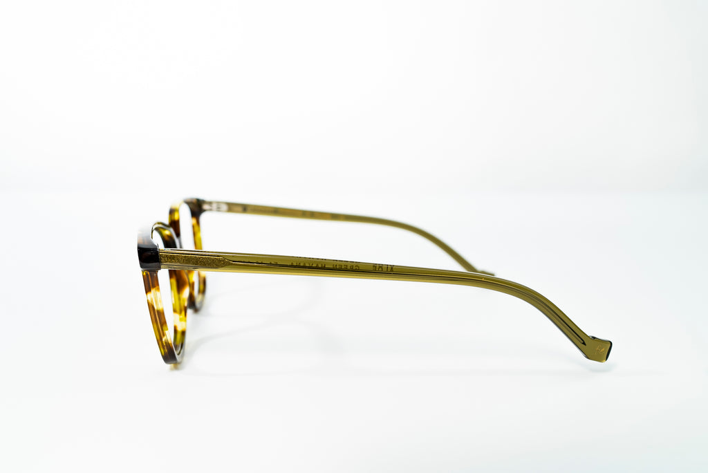 Aloe Col-Green Havana