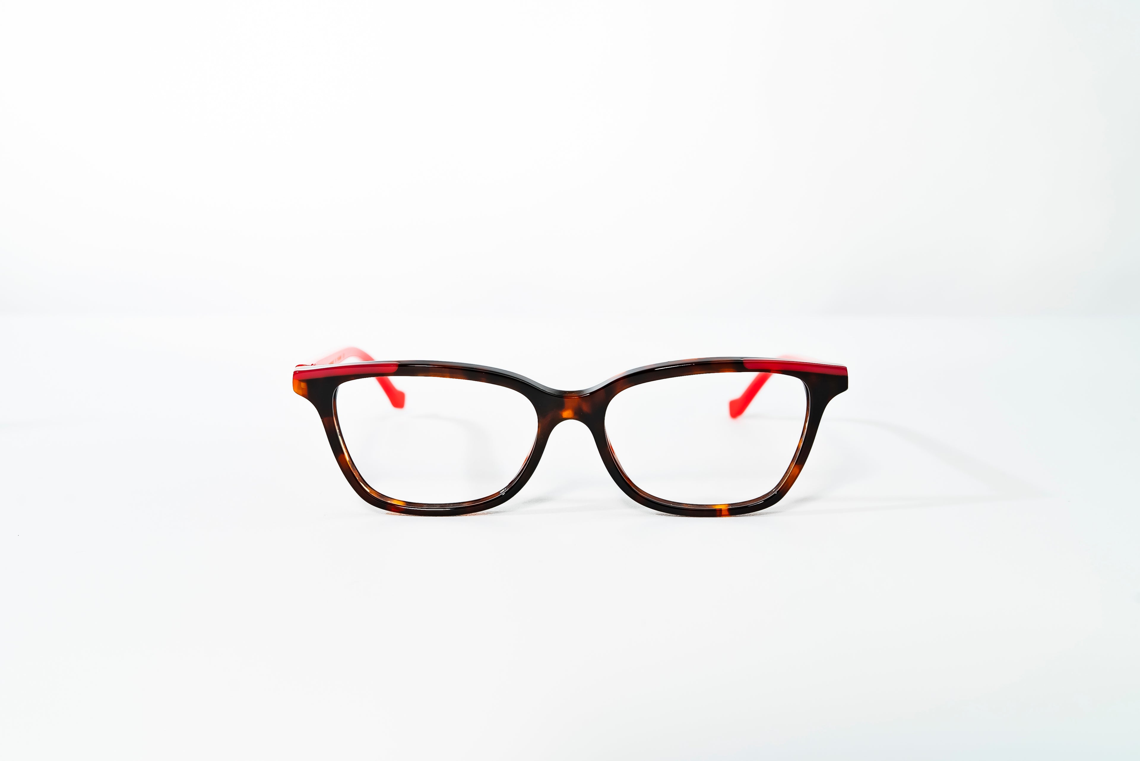 Boston-Ksenia Col-Turtle