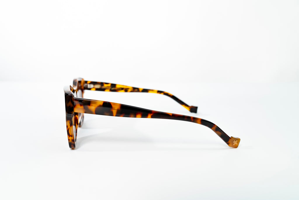 Boavista-Flora Col-Blk Candy Turtle Brn Grad Polarized