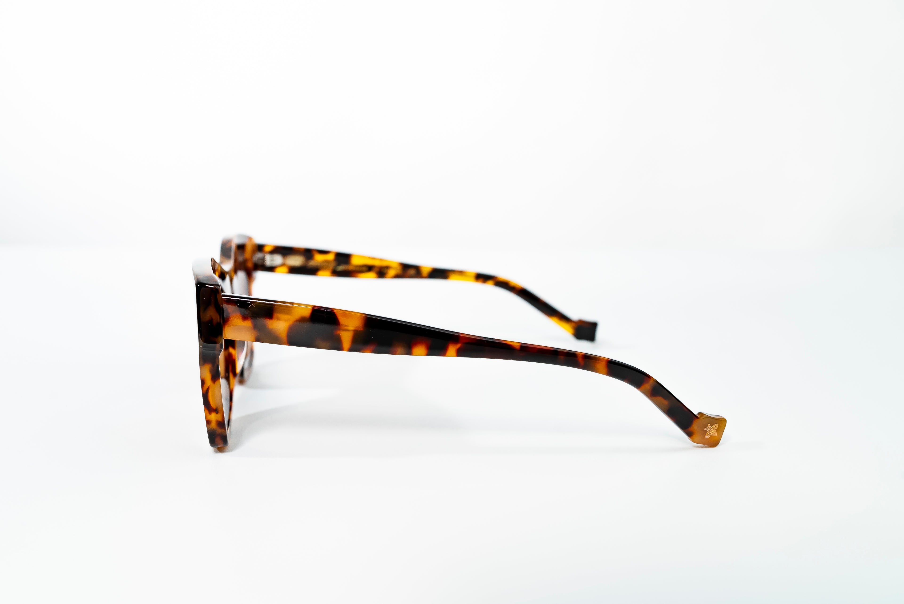 Boavista-Flora Col-Blk Candy Turtle Brn Grad Polarized