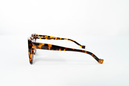 Boavista-Flora Col-Blk Candy Turtle Brn Grad Polarized