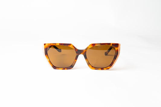 Venice Col-Turtle Brown Polarized